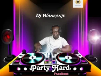 Dj wankanje - party hard beat