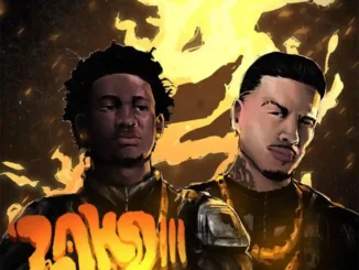 Shallipopi – laho iii ft. Rauw alejandro
