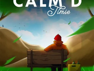 Tiimie – calm d