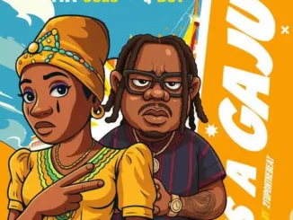 Iya solo – is a gaju ft. Qdot