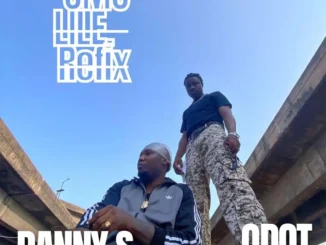Danny s – omo lile refix ft. Q dot