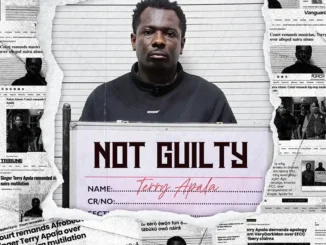 Terry apala – grace in disguise