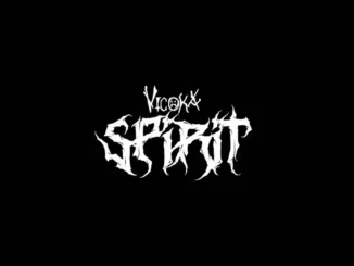 Vicoka – spirit ft. Wizard chan - sweetloaded