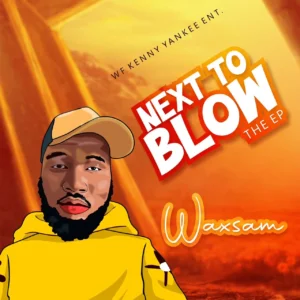 Waxsam - next to blow ep album