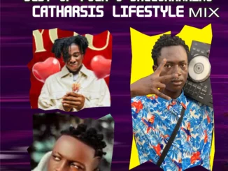 Hot mix: dj skipo ika alaba best of fola & balloranking 2025 mix catharis lifestyle album mix - sweetloaded