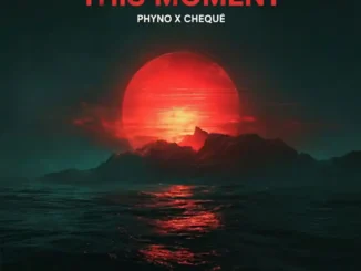 Phyno – this moment ft. Cheque