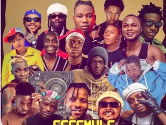 Hot mix: dj skipo ika alaba - fesemule 36 lion mixtape [dj mix] - sweetloaded