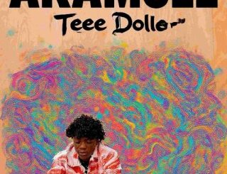 Teee dollar – akamole