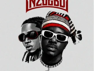 Zoro swagbag – nzogbu ft. Jeriq
