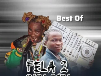 Dj eggrollstbn - best of fela 2 baba ogba 2026 mixtape