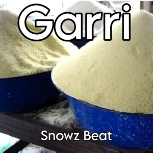Snowz beat - garri beat