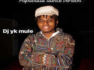 Dj yk mule - papaoutai dance version