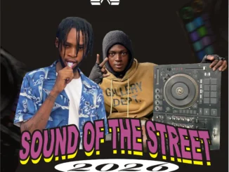 Hot mix: dj skipo ika alaba x hypeman ariwo sound of the street 2026 hype mix (dj mix) - sweetloaded