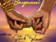 Bayanni – stick to the plan