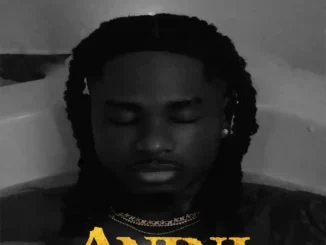 Lil kesh – anini (thief)