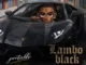 Portable - lambo black