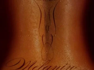 Balloranking - melanin ft. Oxlade