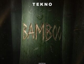 Tekno – bamboo