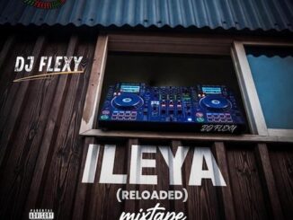Dj flexy – ileya reloaded mixtape 2026 - sweetloaded