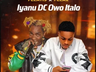Felatis – iyanu dc owo italo ft. Fela 2