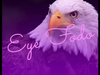 Dj tobzy imole giwa - eiye fodo (fly safe)