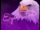 Dj tobzy imole giwa - eiye fodo (fly safe)