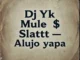 Dj yk mule - alujo yapa