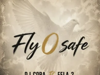 Dj cora – fly o safe ft. Fela 2