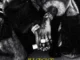 Shallipopi – allergies